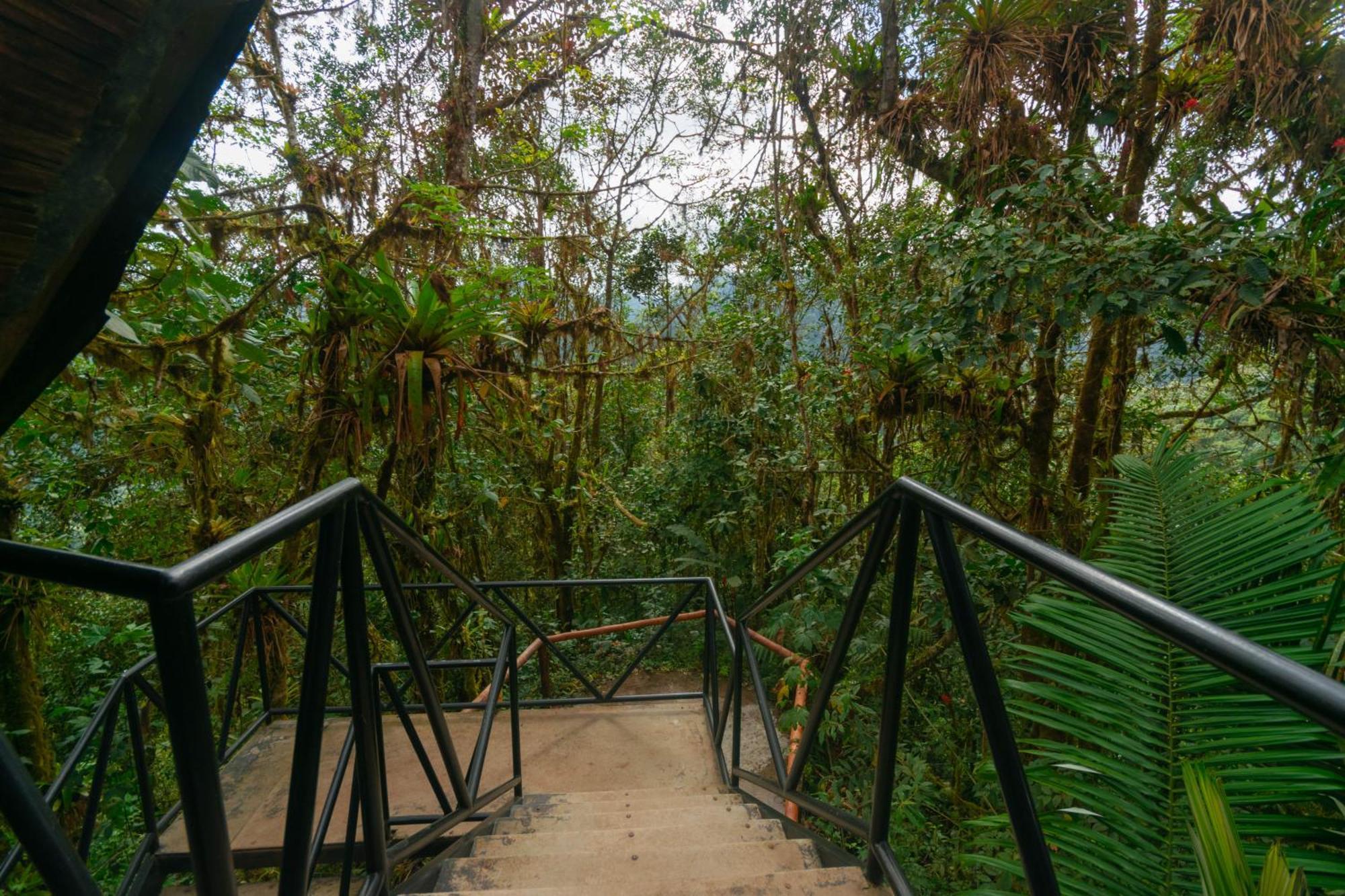 Bellavista Cloud Forest Lodge Tandayapa Eksteriør billede