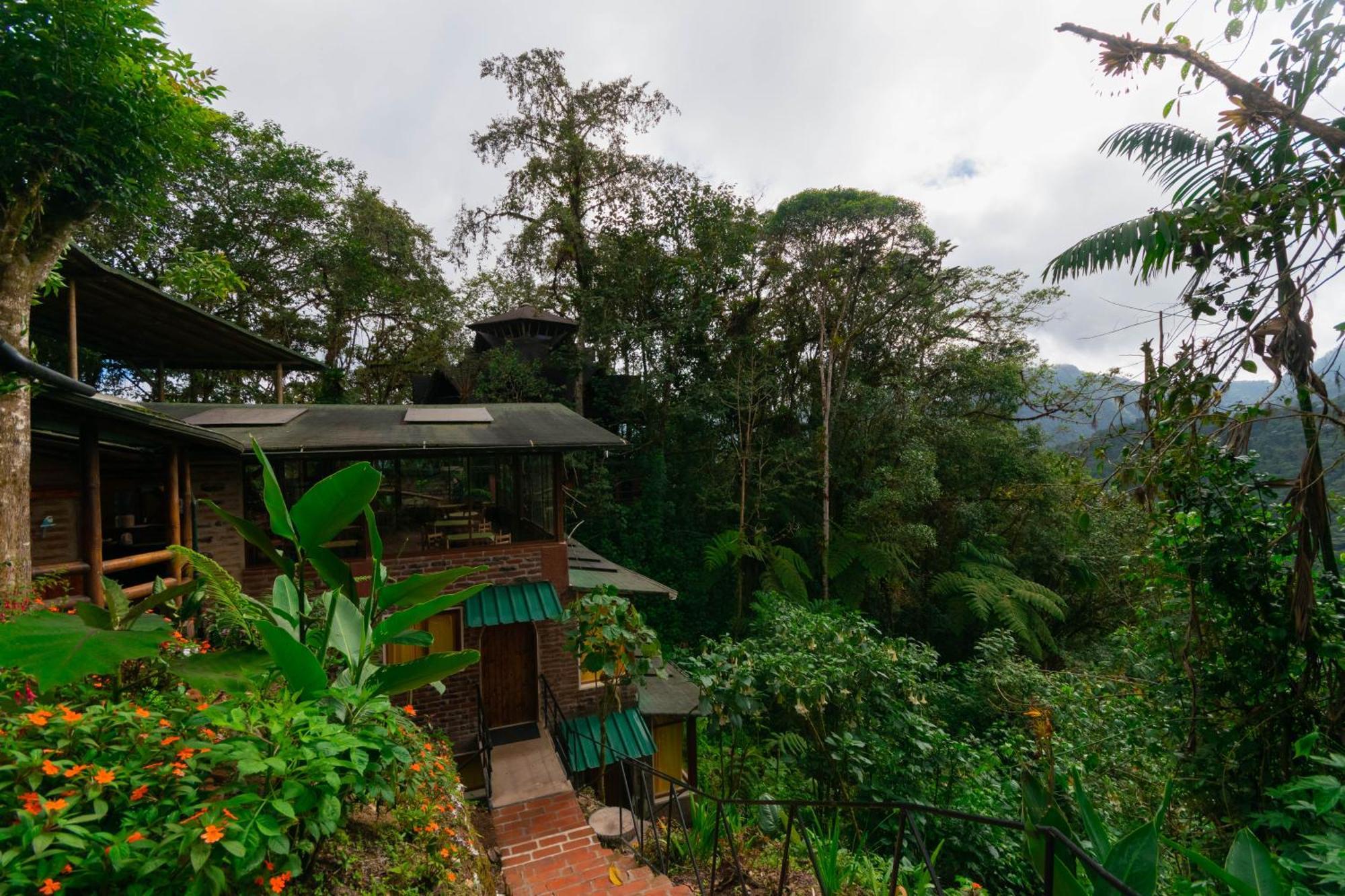 Bellavista Cloud Forest Lodge Tandayapa Eksteriør billede