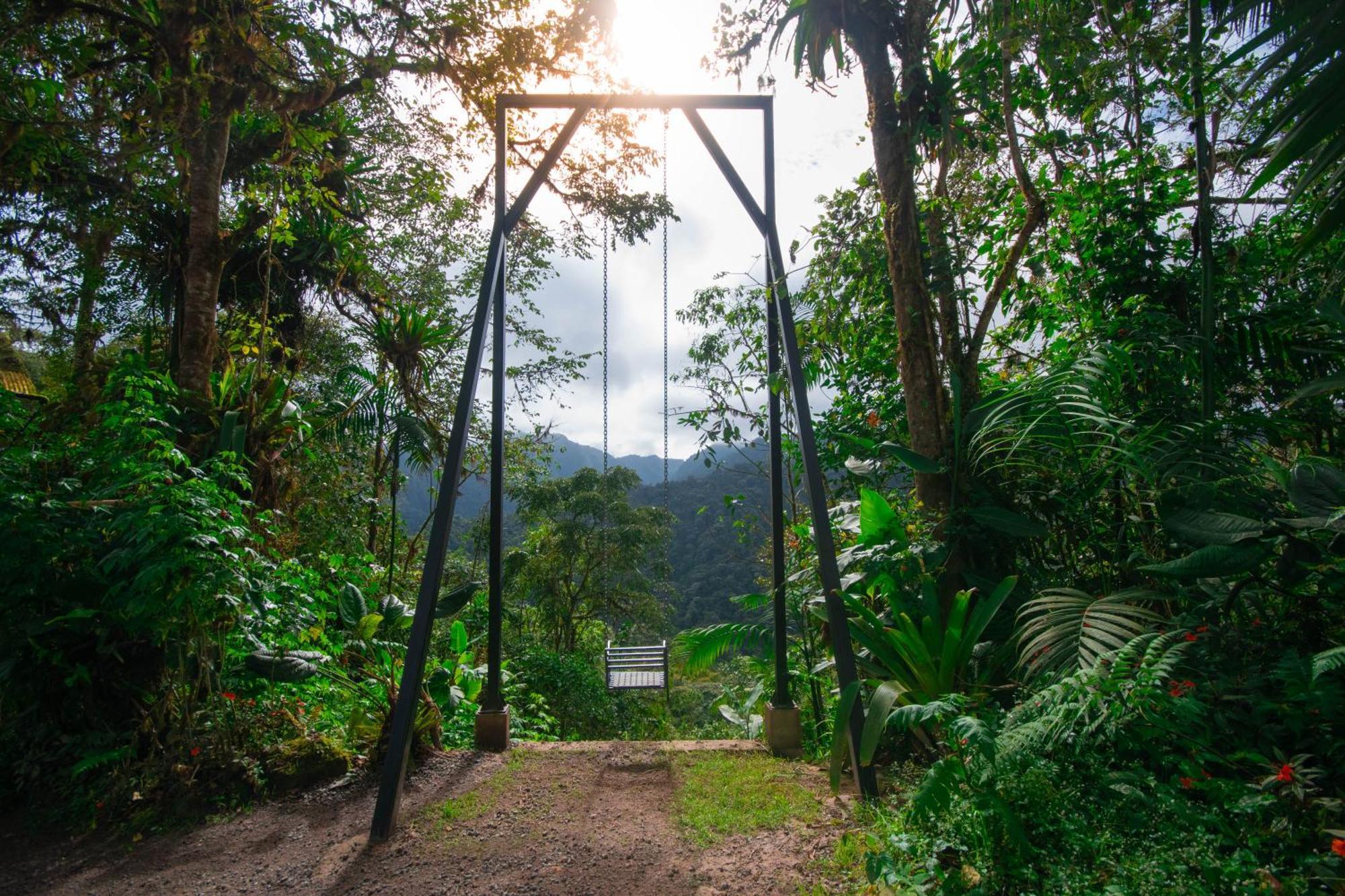 Bellavista Cloud Forest Lodge Tandayapa Eksteriør billede