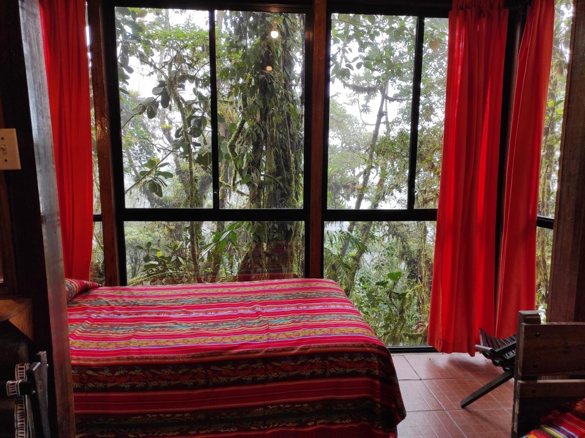 Bellavista Cloud Forest Lodge Tandayapa Eksteriør billede