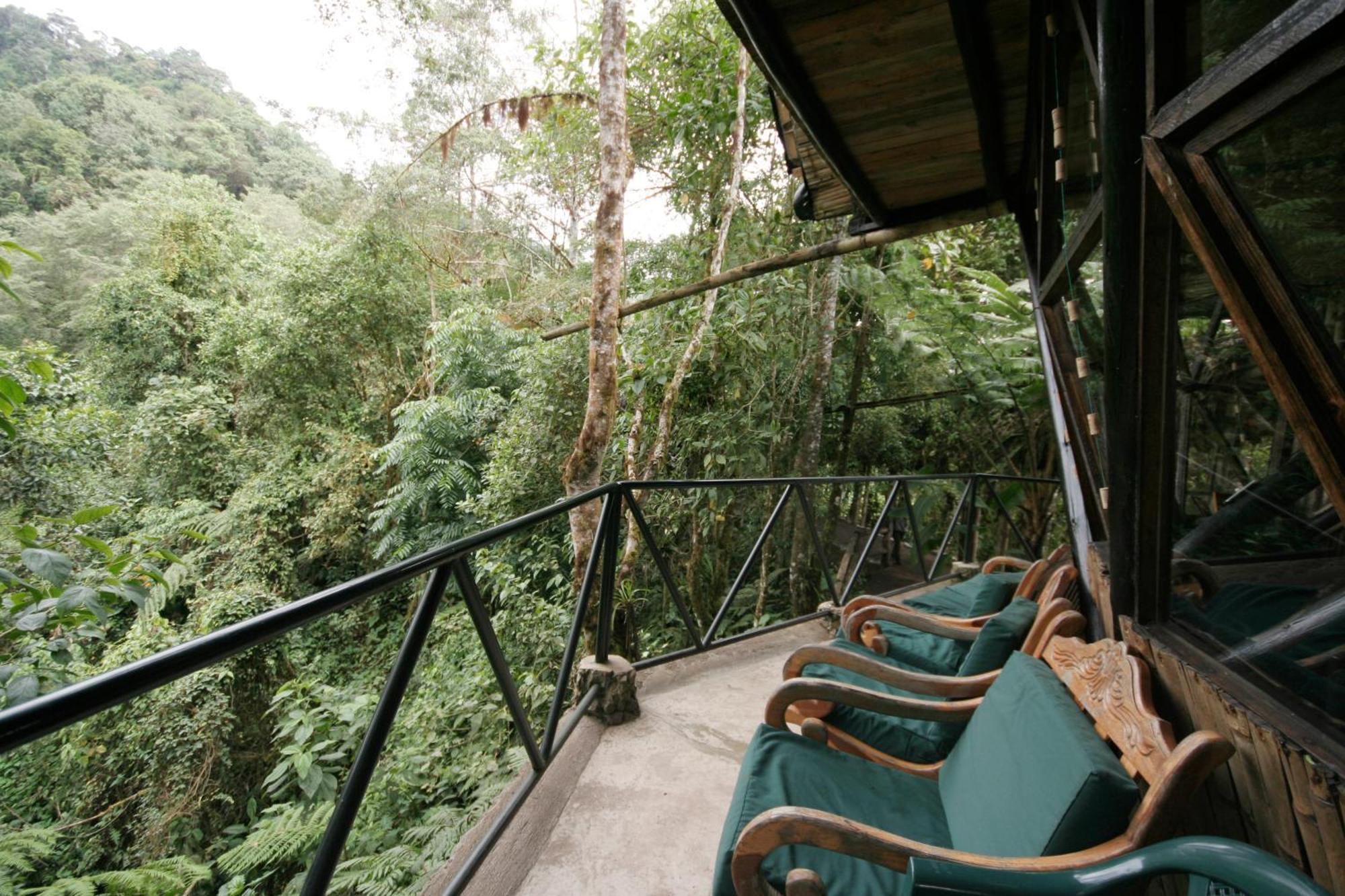 Bellavista Cloud Forest Lodge Tandayapa Eksteriør billede
