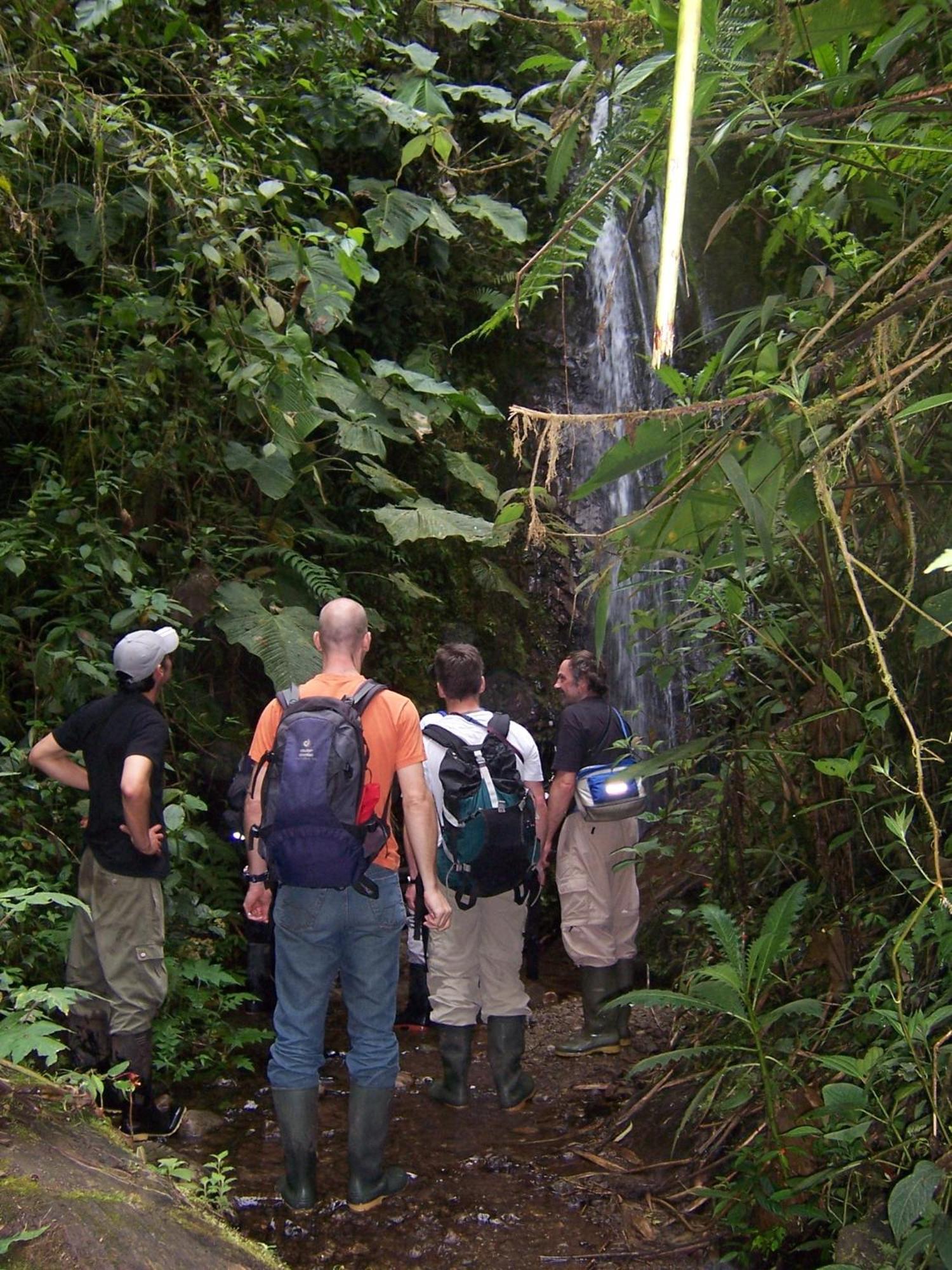 Bellavista Cloud Forest Lodge Tandayapa Eksteriør billede