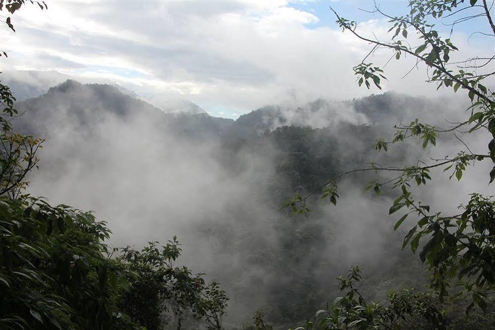 Bellavista Cloud Forest Lodge Tandayapa Eksteriør billede