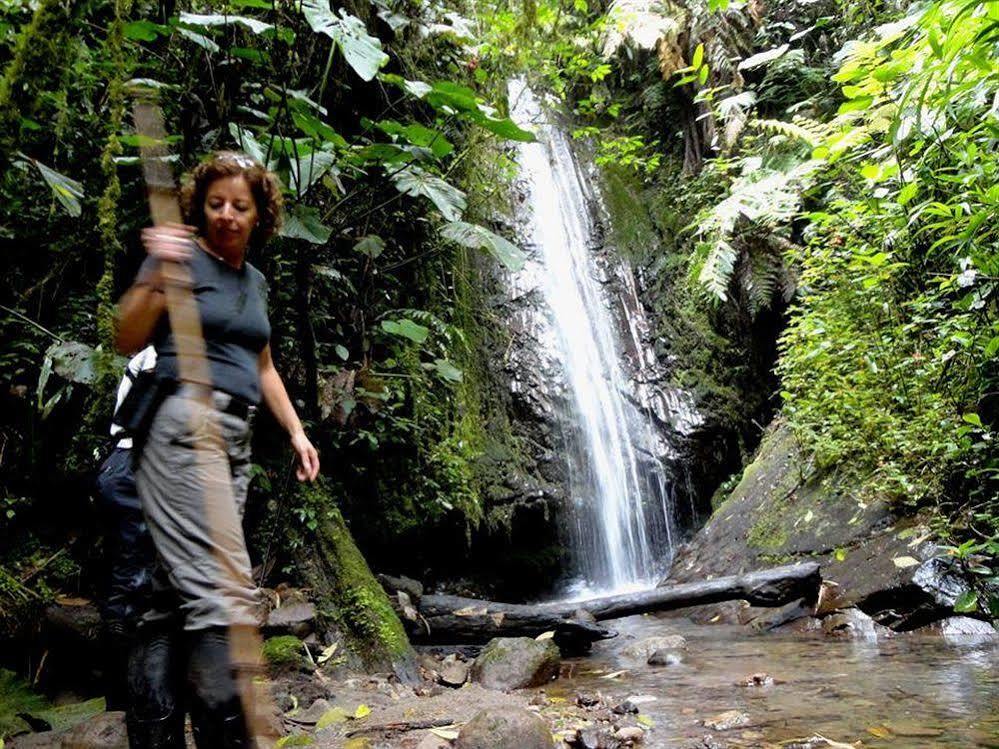 Bellavista Cloud Forest Lodge Tandayapa Eksteriør billede
