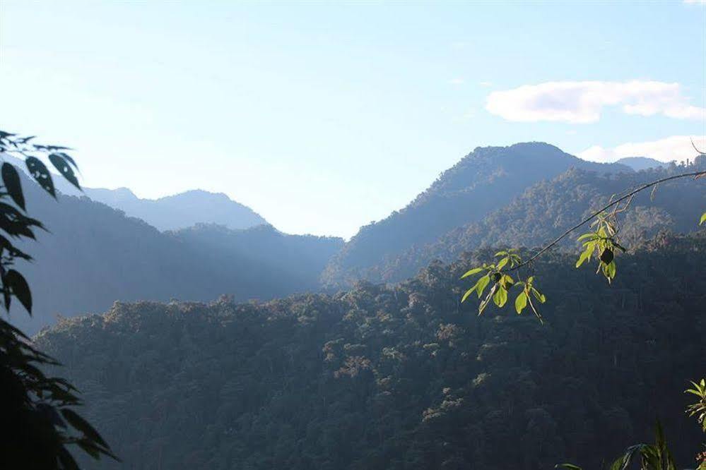 Bellavista Cloud Forest Lodge Tandayapa Eksteriør billede